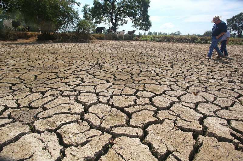 Drought picture